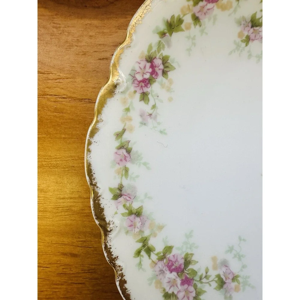 Theodore‎ Haviland Limoges Two Salad Plates Schleiger 855B France Vintage